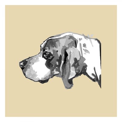 Elegáns kutya profil alkotó: cartissi