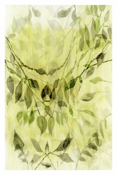  alkotó: cartissi