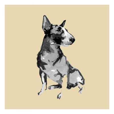 Ülő bull terrier alkotó: cartissi