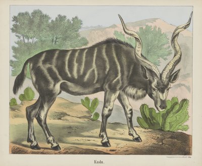 Kudu (cím a tárgyon) alkotó: firma Joseph Scholz