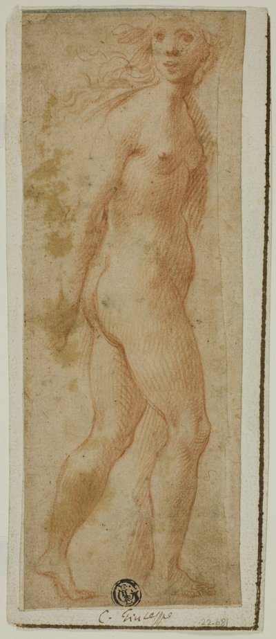 Proserpina alkotó: follower of Giuseppe Cesari