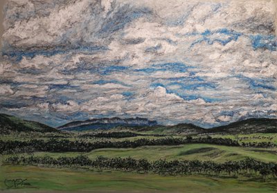 A NAGY SZAVANNA VENEZUELA alkotó: miguelmendez_art.ve