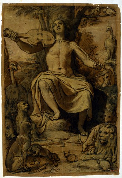 Orpheusz hegedű zenéjével varázsolja el az állatokat. Federico Zuccari (1542 - 1609) rajza. alkotó: or Zuccaro Federico Zuccari