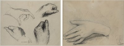 Study of Hands (recto); Egy női kéz tanulmányozása (fordítva) alkotó: studio of A. W. A. Plâté Studio (Ceylonese)