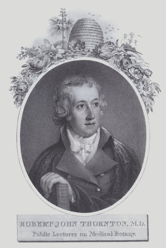 Robert John Thornton (litho) alkotó: (after) English School