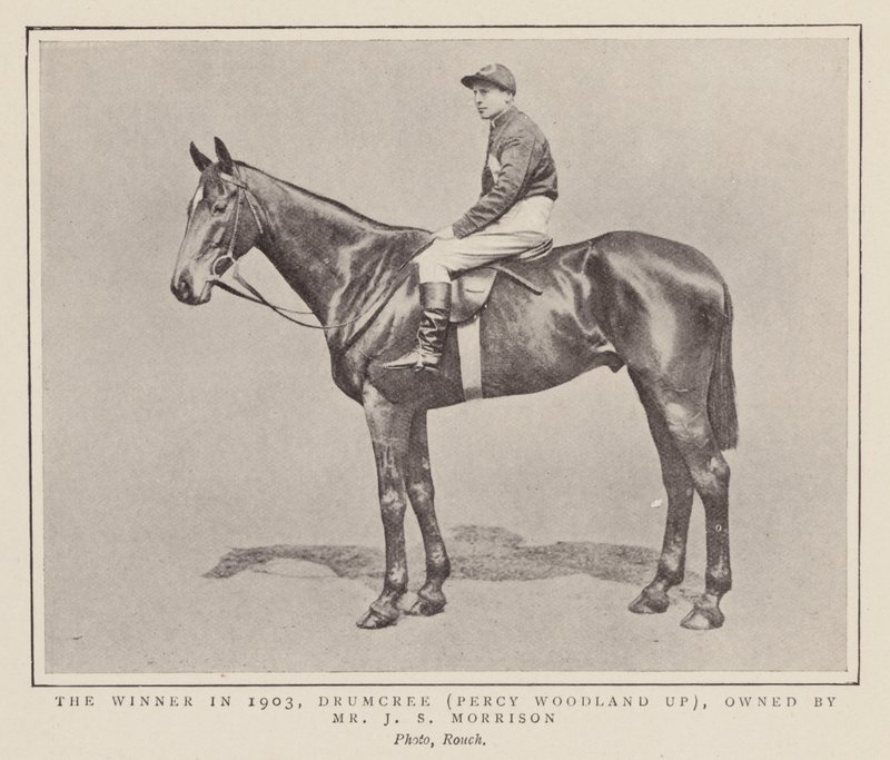 Drumcree, az 1903-as Grand National győztese (fekete-fehér fotó) alkotó: (after) English photographer