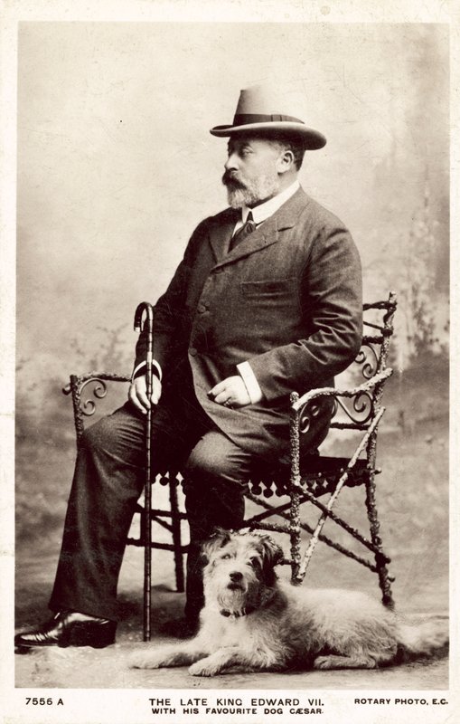 VII. Edward néhai király ezzel a kedvenc Caesar kutyával (f/w fotó) alkotó: (after) English photographer