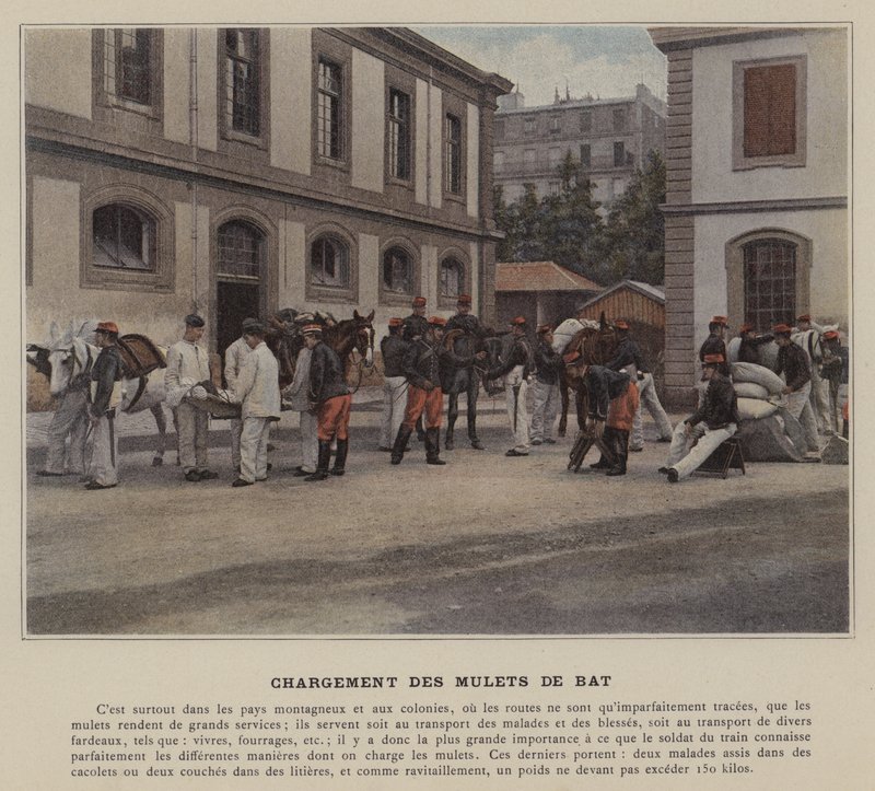 Denevéröszvérek betöltése (színes fotó) alkotó: (after) French Photographer