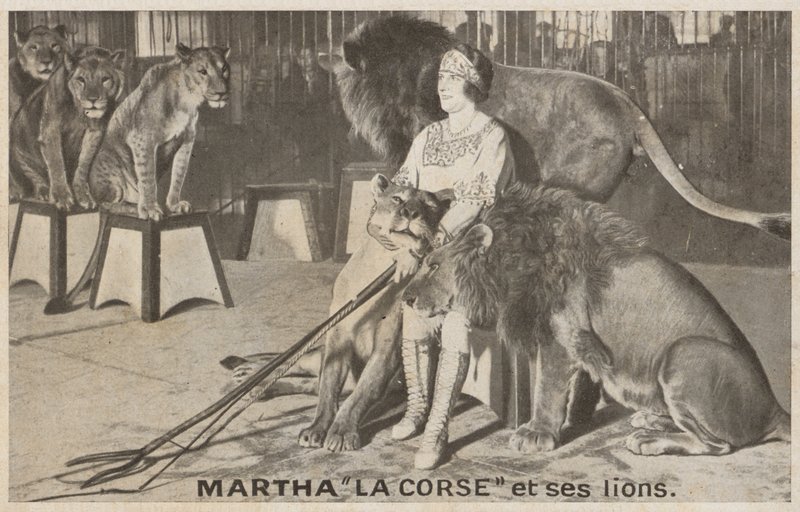 Martha "La Corse" és oroszlánjai (f/w fotó) alkotó: (after) French Photographer
