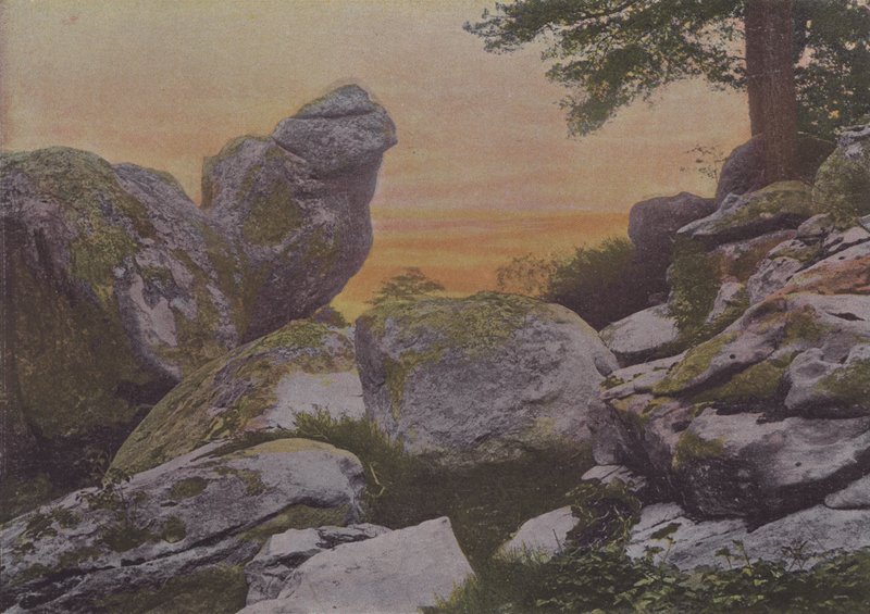 Rochers du mont Ussy (színes fotó) alkotó: (after) French Photographer