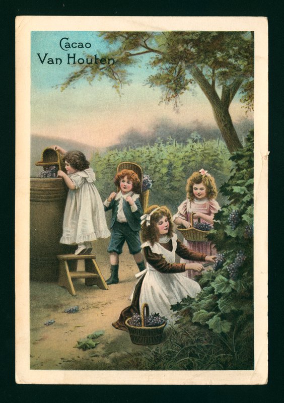 Szőlőt szedő gyerekek (chromolitho) alkotó: (after) French School