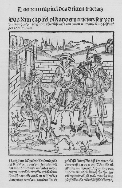 Hieronymus Brunschwig Cirurgia könyve (litho) alkotó: (after) German School