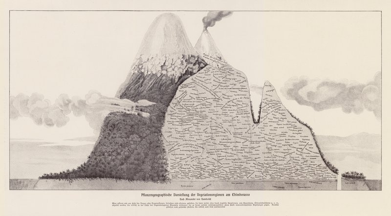 A Chimborazo növényzeti régiói, Ecuador (litho) alkotó: (after) German School