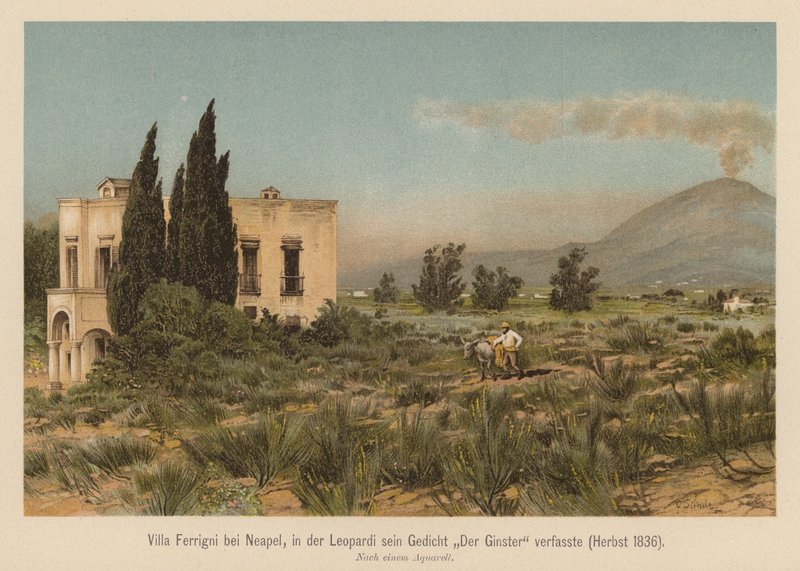 Villa Ferrigni, Nápoly közelében (színes litográfia) alkotó: (after) German School