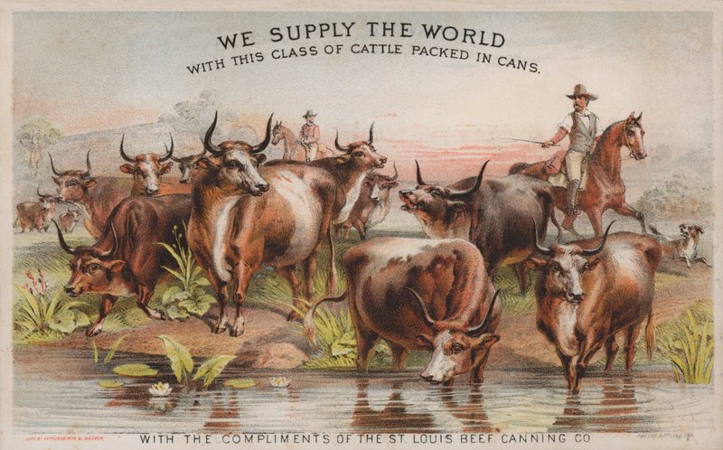 Cowboyok marhahajtáson, a St Louis Beef Canning Company reklámja alkotó: American School