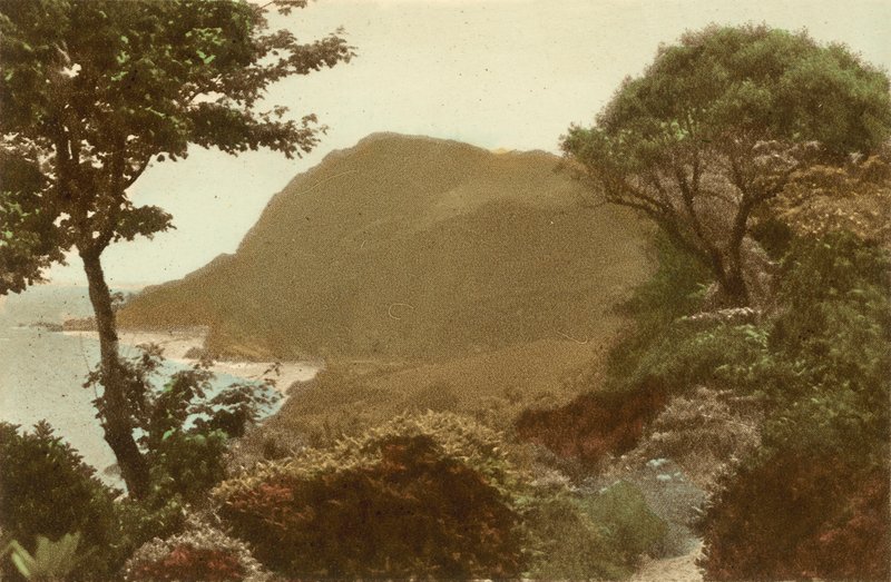 Ilfracombe, Hillsborough a St James Gardensből alkotó: English Photographer