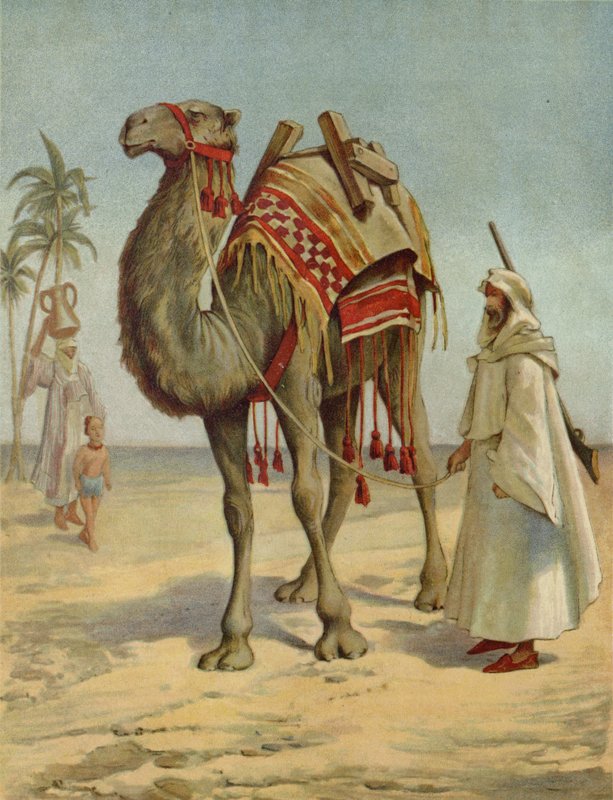 Egy arab kereskedő alkotó: English School