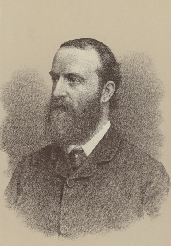 Charles Stewart Parnell ír nacionalista politikai vezető, földreform-agitátor, az Ír Parlamenti Párt alapítója és vezetője alkotó: English School
