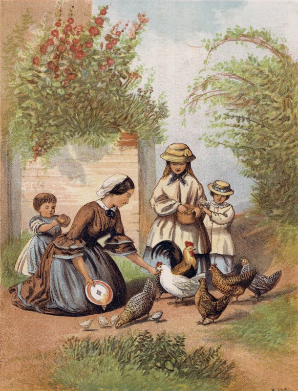 A csirkék etetése alkotó: English School