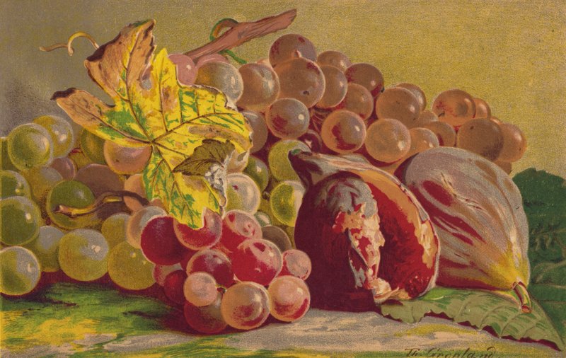Füge és szőlő alkotó: English School