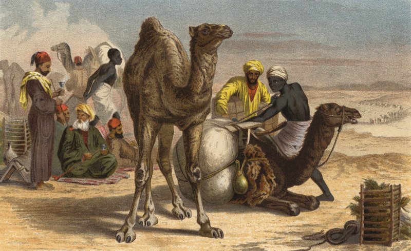 Egypúpú alkotó: European School