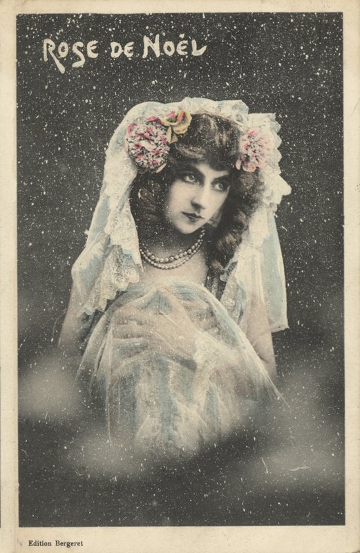 karácsonyi rózsa alkotó: French Photographer