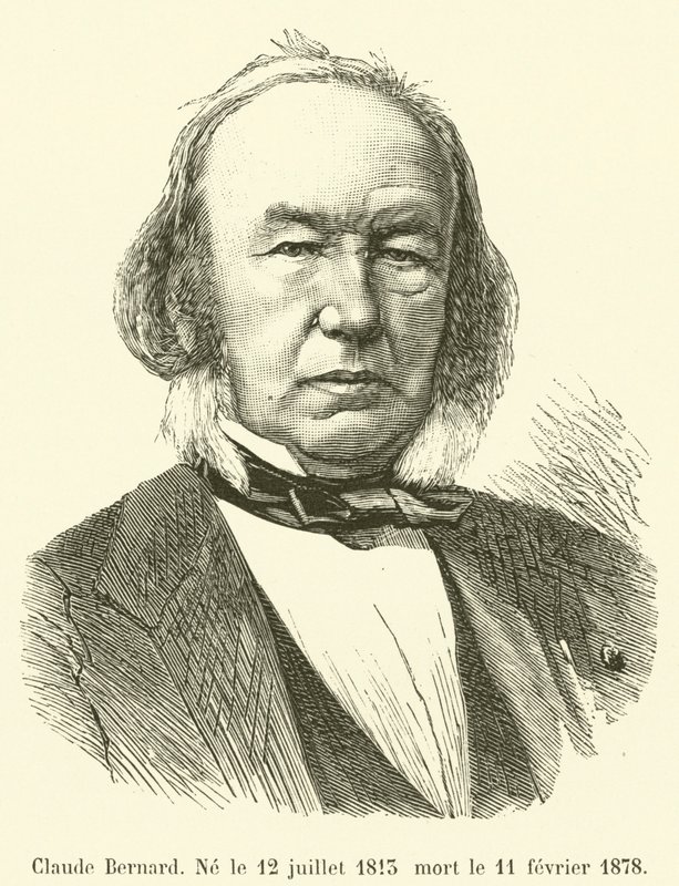 Claude Bernard, született 1813. július 12-én, meghalt 1878. február 11-én. alkotó: French School