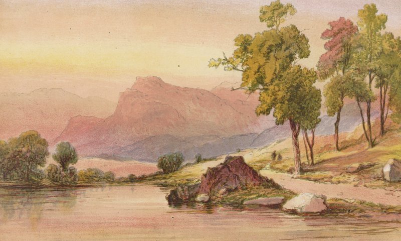 A Ben Lomond egyik sarka (chromolitho) alkotó: Aaron Edwin Penley