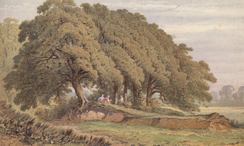 Tanulmány egy tölgyfacsoportról, Eltham közelében, Kent (kromolito) alkotó: Aaron Edwin Penley