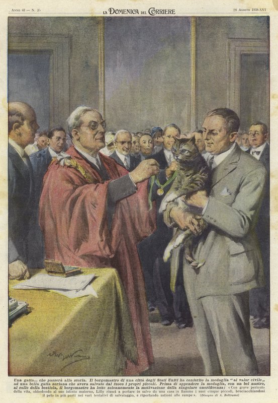 Egy éremmel kitüntetett macska alkotó: Achille Beltrame