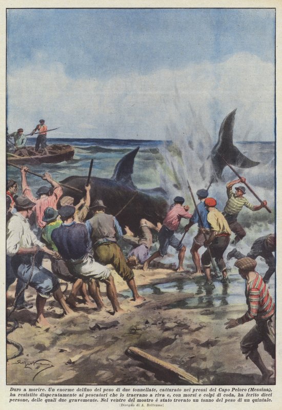 Drágán add az életed alkotó: Achille Beltrame