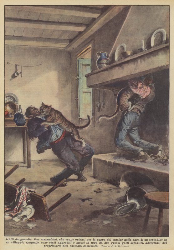 Őrmacskák alkotó: Achille Beltrame