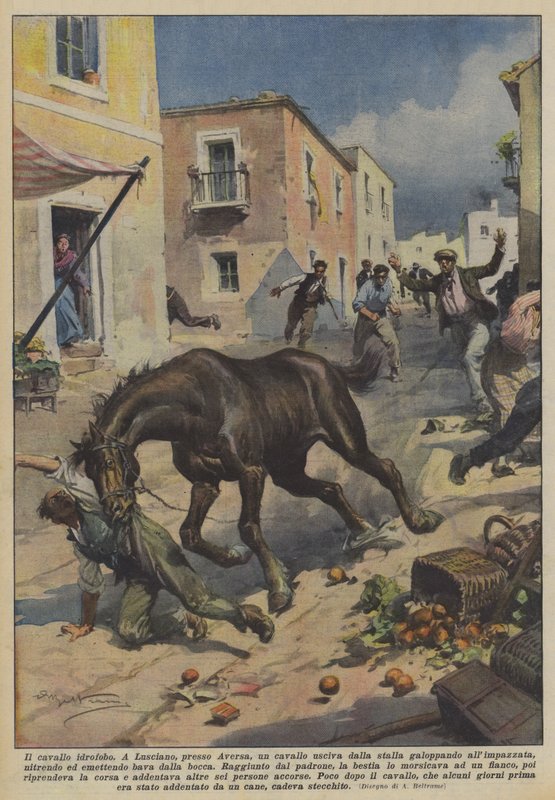 A hidrofób ló alkotó: Achille Beltrame