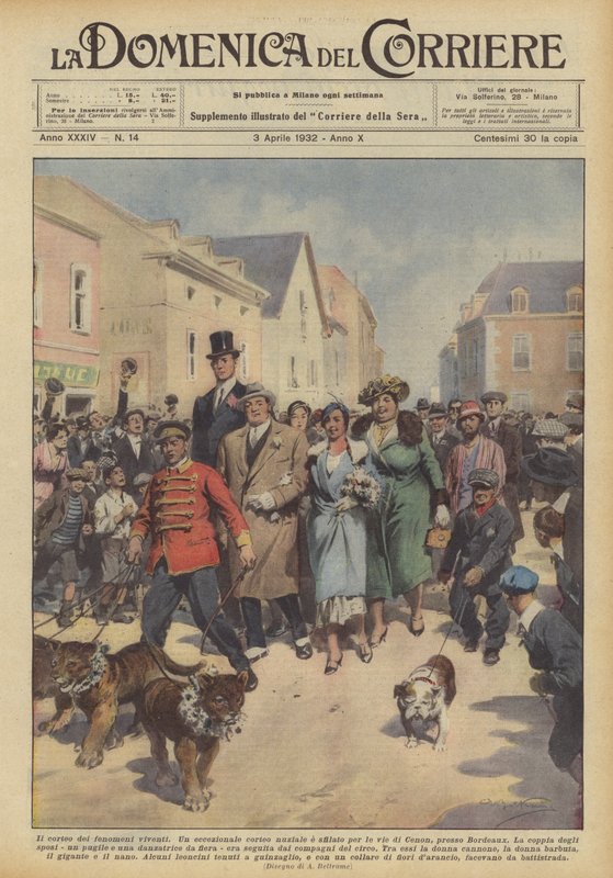 Élőjelenségek körmenete alkotó: Achille Beltrame