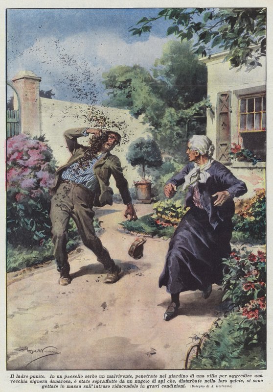 A tolvaj megbüntetett alkotó: Achille Beltrame