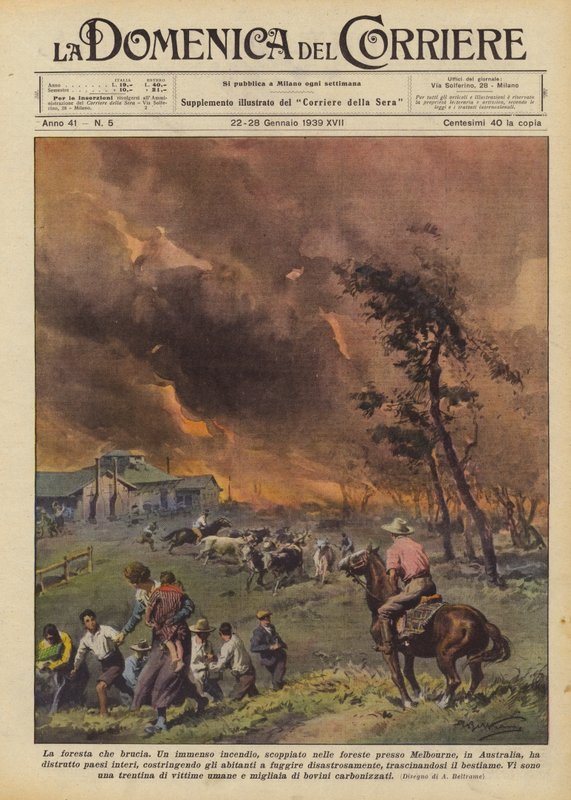 Az égő erdő alkotó: Achille Beltrame