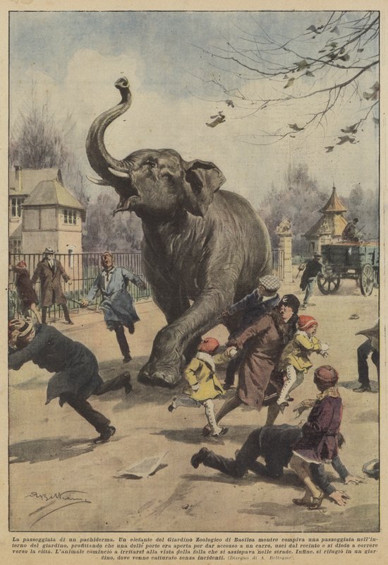 A pachyderm járása alkotó: Achille Beltrame