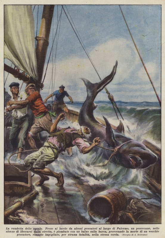 A cápa bosszúja alkotó: Achille Beltrame