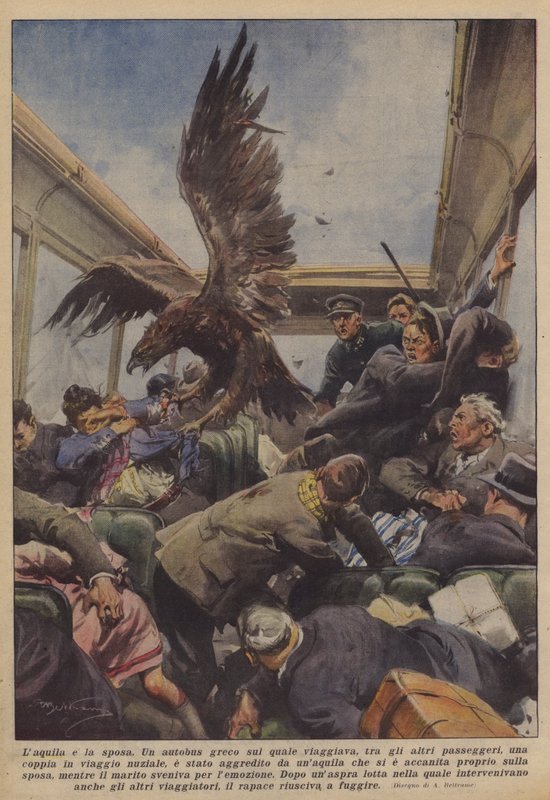 Laquila és a menyasszony alkotó: Achille Beltrame