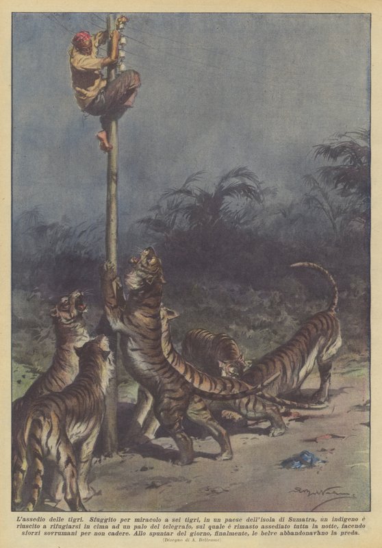 A tigrisek ostroma alkotó: Achille Beltrame