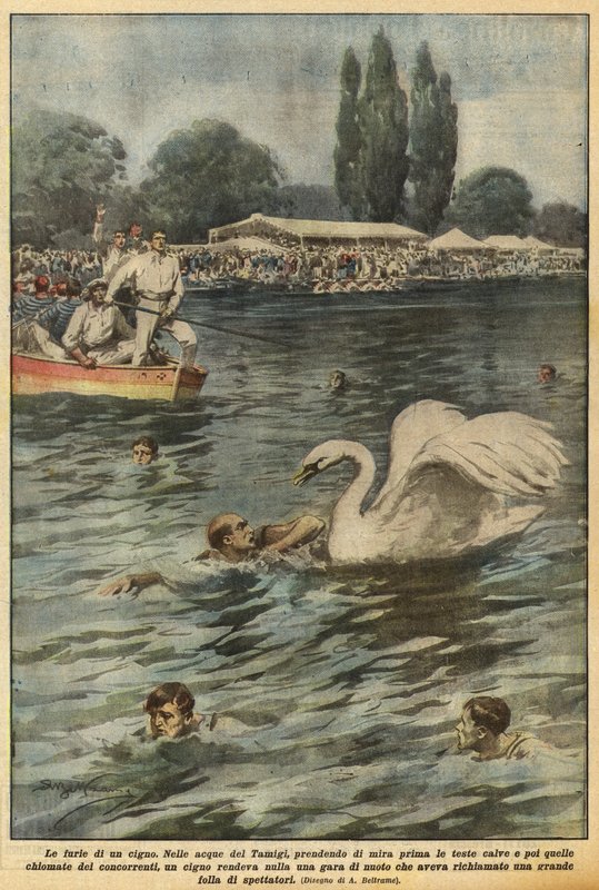 A hattyú dühe alkotó: Achille Beltrame