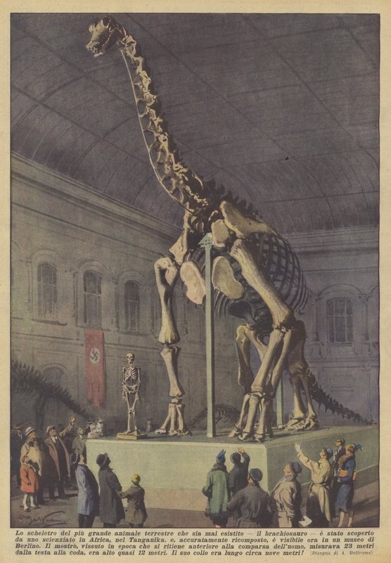 A valaha élt legnagyobb szárazföldi állat, a brachiosaurus csontváza? alkotó: Achille Beltrame