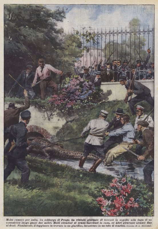 Sok hűhó semmiért alkotó: Achille Beltrame