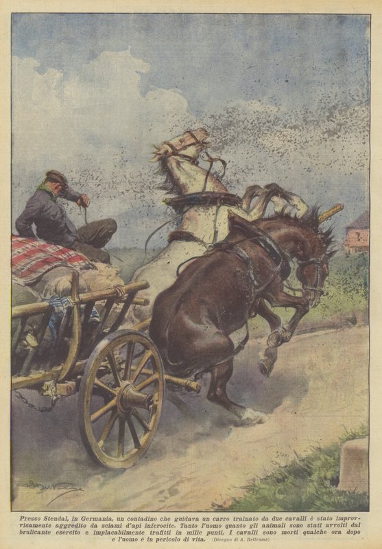 A németországi Stendal közelében járt egy farmer, aki kétlovas szekeret vezetett? alkotó: Achille Beltrame