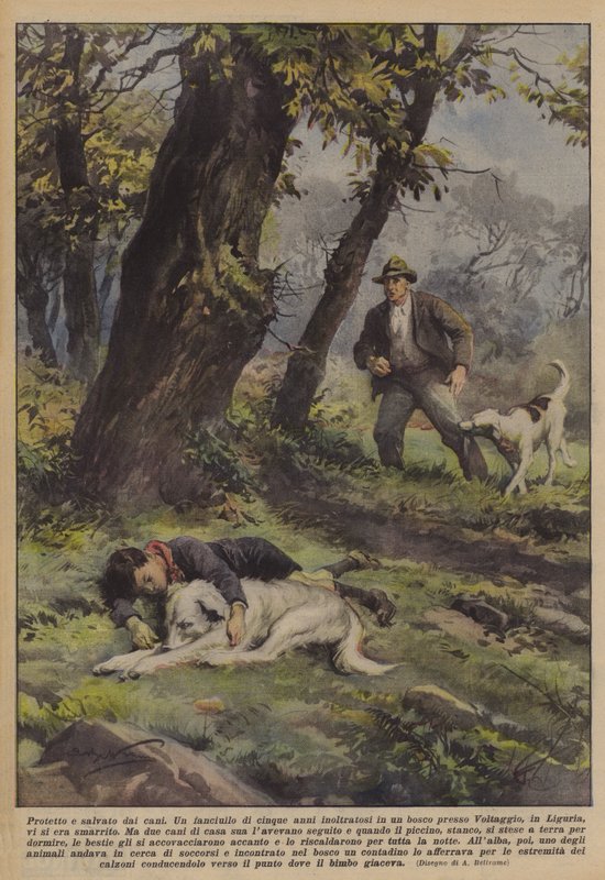 Kutyák védik és mentik alkotó: Achille Beltrame