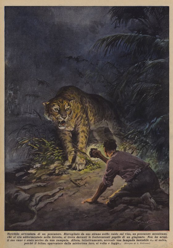 Egy halász szörnyű kalandja alkotó: Achille Beltrame