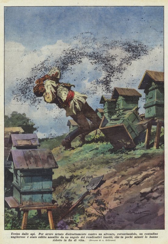 Megölték a méhek alkotó: Achille Beltrame