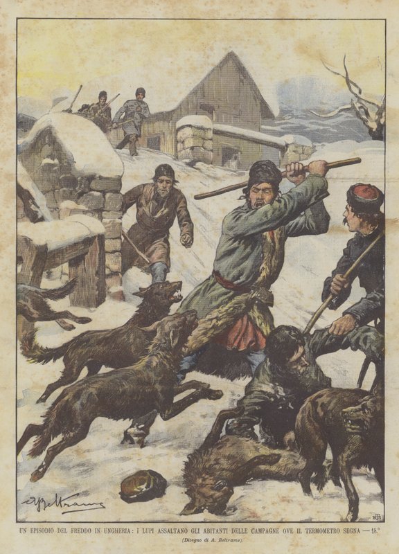 A magyarországi hideg epizód, a farkasok megtámadják a vidék lakóit, ahol a hőmérő 15°-ot mutat. alkotó: Achille Beltrame