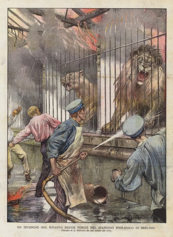 Tűz a vadállatokban a berlini állatkertben (színes litho) alkotó: Achille Beltrame