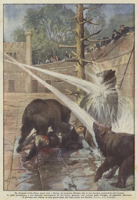 Dráma a berni Medvegödörben alkotó: Achille Beltrame